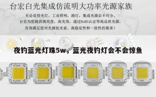 夜钓蓝光灯珠5w，蓝光夜钓灯会不会惊鱼
