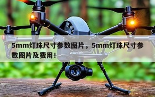 5mm灯珠尺寸参数图片，5mm灯珠尺寸参数图片及费用！