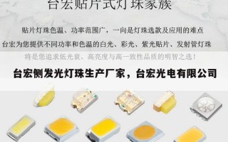 台宏侧发光灯珠生产厂家，台宏光电有限公司