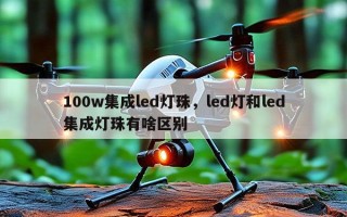 100w集成led灯珠，led灯和led集成灯珠有啥区别