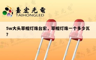 5w大头草帽灯珠台宏，草帽灯珠一个多少瓦？