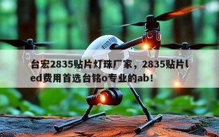 台宏2835贴片灯珠厂家，2835贴片led费用首选台铭o专业的ab！