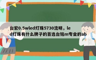 台宏0.5wled灯珠5730流明，led灯珠有什么牌子的首选台铭m专业的ab
