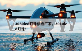 3030led灯珠供应厂家，3010led灯珠！