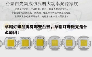 草帽灯珠品牌有哪些台宏，草帽灯珠微亮是什么原因！