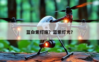 蓝白紫灯珠？蓝紫灯光？