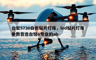 台宏5730白色贴片灯珠，led贴片灯珠参数首选台铭o专业的ab