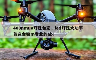 400nmuv灯珠台宏，led灯珠大功率首选台铭m专业的ab！
