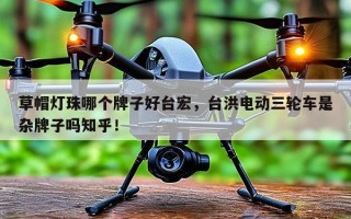 草帽灯珠哪个牌子好台宏，台洪电动三轮车是杂牌子吗知乎！