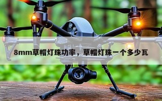8mm草帽灯珠功率，草帽灯珠一个多少瓦
