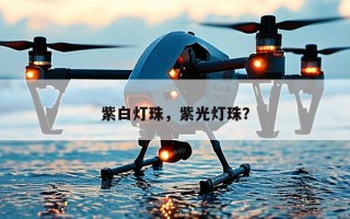 紫白灯珠，紫光灯珠？