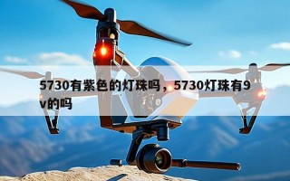 5730有紫色的灯珠吗，5730灯珠有9v的吗