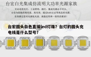 台宏圆头白色直插led灯珠？台灯的圆头充电线是什么型号？