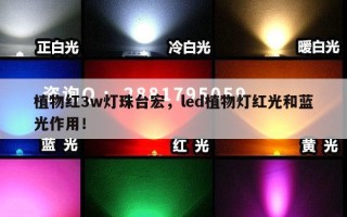 植物红3w灯珠台宏，led植物灯红光和蓝光作用！