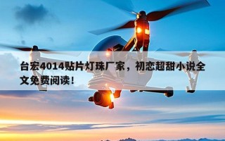台宏4014贴片灯珠厂家，初恋超甜小说全文免费阅读！