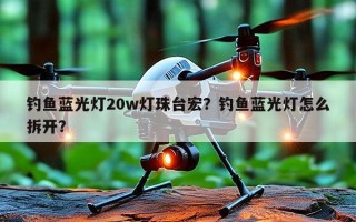 钓鱼蓝光灯20w灯珠台宏？钓鱼蓝光灯怎么拆开？