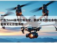 广东5mm插件灯珠台宏，群众文化的社会功能和文化价值浅析