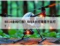 4014金线灯珠？4014小灯珠是什么灯？