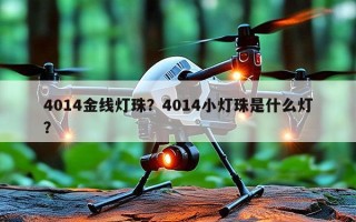 4014金线灯珠？4014小灯珠是什么灯？