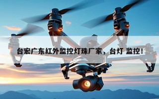 台宏广东红外监控灯珠厂家，台灯 监控！