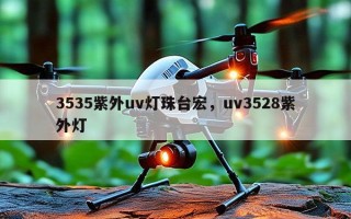 3535紫外uv灯珠台宏，uv3528紫外灯