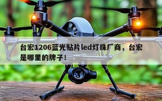 台宏1206蓝光贴片led灯珠厂商，台宏是哪里的牌子！