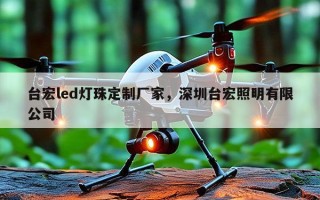 台宏led灯珠定制厂家，深圳台宏照明有限公司