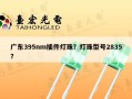 广东395nm插件灯珠？灯珠型号2835？