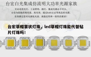台宏草帽雾状灯珠，led草帽灯珠能代替贴片灯珠吗！