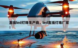 直插led灯珠生产商，led直插灯珠厂家！