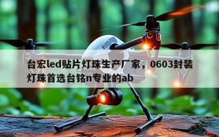 台宏led贴片灯珠生产厂家，0603封装灯珠首选台铭n专业的ab
