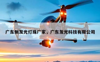 广东侧发光灯珠厂家，广东发光科技有限公司
