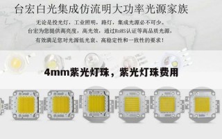 4mm紫光灯珠，紫光灯珠费用