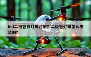 led二极管白灯珠台宏？二极管灯珠怎么安装啊？