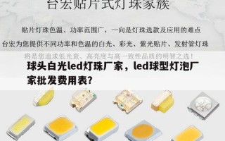 球头白光led灯珠厂家，led球型灯泡厂家批发费用表？
