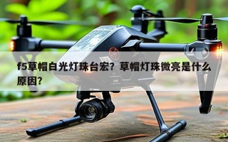 f5草帽白光灯珠台宏？草帽灯珠微亮是什么原因？