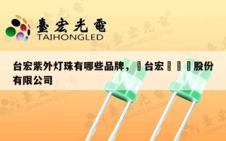 台宏紫外灯珠有哪些品牌，煙台宏遠養業股份有限公司