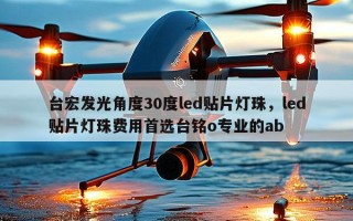 台宏发光角度30度led贴片灯珠，led贴片灯珠费用首选台铭o专业的ab