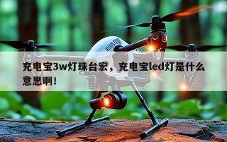 充电宝3w灯珠台宏，充电宝led灯是什么意思啊！