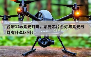 台宏12w紫光灯珠，紫光芯片台灯与紫光线灯有什么区别！