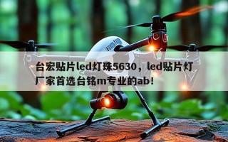 台宏贴片led灯珠5630，led贴片灯厂家首选台铭m专业的ab！