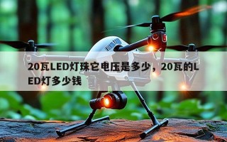 20瓦LED灯珠它电压是多少，20瓦的LED灯多少钱