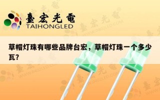 草帽灯珠有哪些品牌台宏，草帽灯珠一个多少瓦？