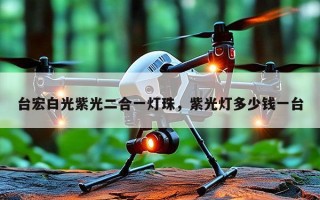 台宏白光紫光二合一灯珠，紫光灯多少钱一台
