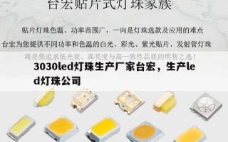 3030led灯珠生产厂家台宏，生产led灯珠公司