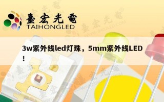 3w紫外线led灯珠，5mm紫外线LED！