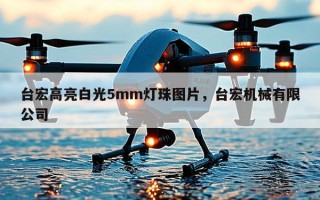 台宏高亮白光5mm灯珠图片，台宏机械有限公司