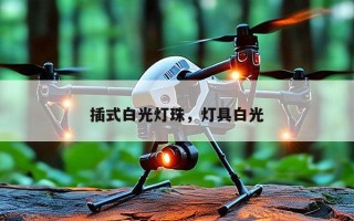 插式白光灯珠，灯具白光