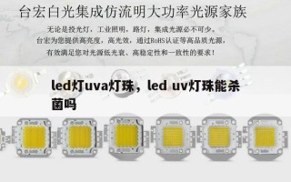 led灯uva灯珠，led uv灯珠能杀菌吗