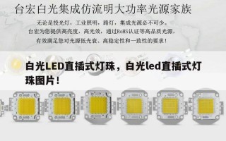白光LED直插式灯珠，白光led直插式灯珠图片！